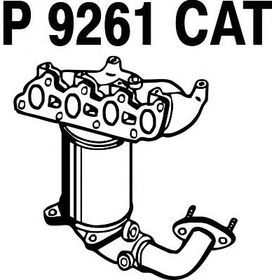 p9261cat