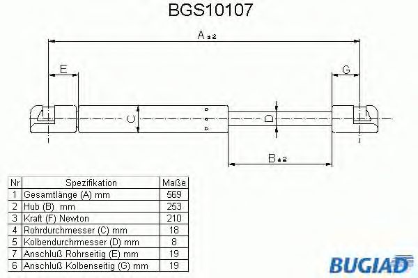 bgs10107