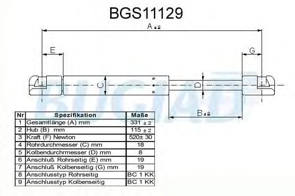 bgs11129