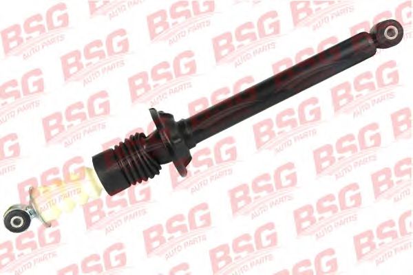 bsg-30-300-019