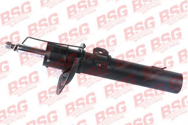 bsg-30-300-039