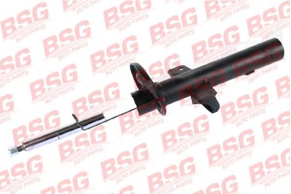 bsg-30-300-040