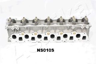 ns010s