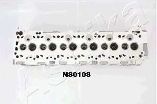 ns010s