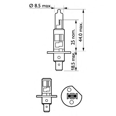 12258llecos2